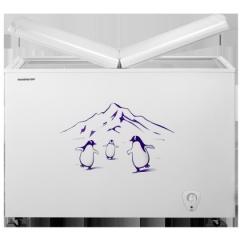 容声(Ronshen) BCD-273K 273立升 卧式冰柜 时尚外观 白色 蝶型门