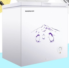 容声(Ronshen) BD/BC-249MX  249立升 卧式 冰柜  白色