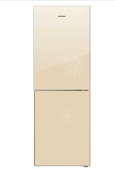 容声(Ronshen) BCD-258RL1DC 258立升 双门 冰箱 时尚外观 花之语金