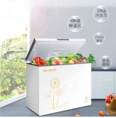 美菱冷柜BC/BD-202DTS