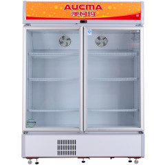 澳柯玛冷柜-SC-809（两门立展）