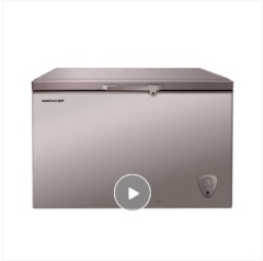 容声(Ronshen) 单温冷柜 BD/BC-306MSA（PCM内胆，净味减霜）