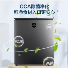 容声(Ronshen) 单温冷柜 BD/BC-145ZEBAL/RX（一级能效）