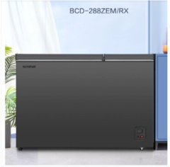 容声(Ronshen) 双温冷柜 BCD-288ZEM/RX（二级能效）